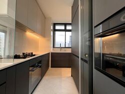 Cairnhill 16 (D9), Apartment #594346591